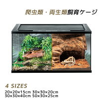 楽天市場】爬虫類 テラリウムの通販