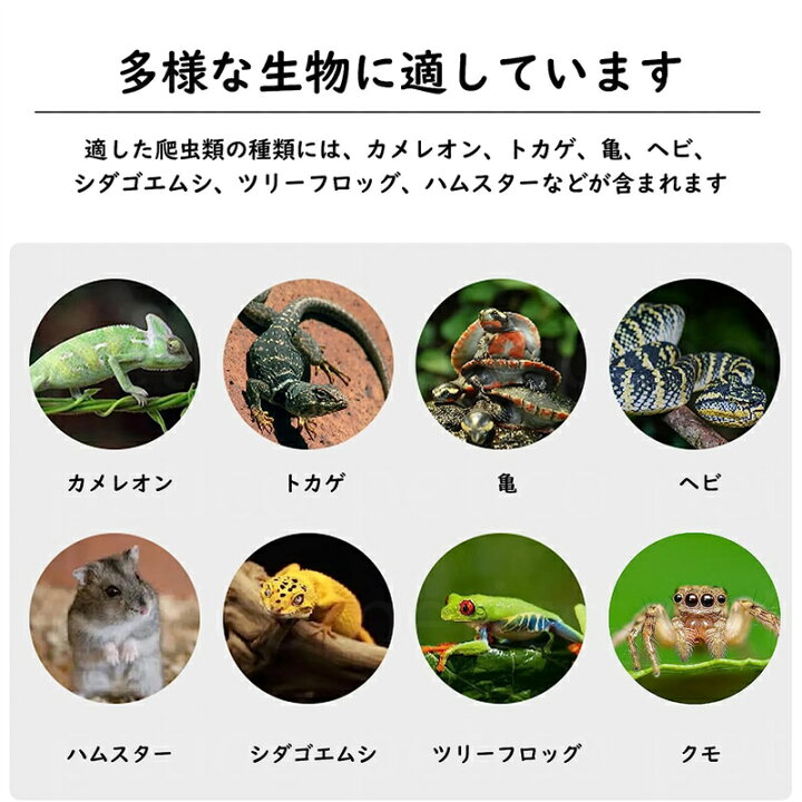 楽天市場】爬虫類 飼育ケージ 両生類 ケージ 室内換気良好 アルミ合金 