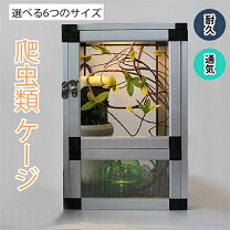 楽天市場】カメレオン 飼育 セット（ペット・ペットグッズ）の通販