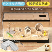 楽天市場】爬虫類 ケージ 60cmの通販 