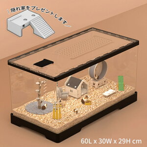 nX^[P[W p  AN ʋC DIY\ Eh~ ϊݐ ȒP P[W nlY~ 60cmP[W Pi S[fnX^[ bg nlY~ ঒ 