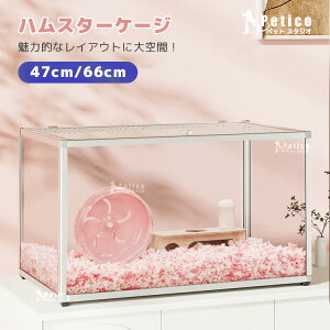 nX^[ P[W 傫 ŐV^ A~  nX^[ Q[W S[fnX^[  AN NA v 傫 bg X  P[W ybgpi 