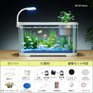 Ƀe[uŊyރ_JZbg   Zbg ANA|jNX CeA Zbg  _J x^ Mы ϗtA ₵ Âȃ_JZbg ANA