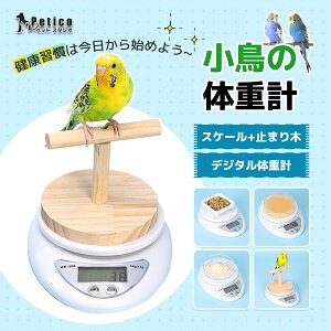 p x̏dv ЂȒ NǗObY ~܂ tXP[ ybg fW^̏dv p vpvʊ 0.1gP ̑̏dǗ  v[gObY ybgI[i[ p