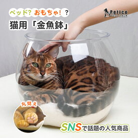 ドーム型 ペットベッド 猫 金魚鉢 ベッド 透明 アクリル 360度 鑑賞 SNS映え 人気 話題 ペット用品 猫グッズ ふわふわ マット クッション 夏用 涼しい おしゃれ ハウス ネコベッド インテリア おしゃれ 北欧風 ミニマル 丸見え 肉球 可愛い 癒し ペット 猫ちゃん くつろぎ