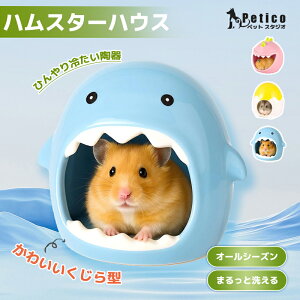 2_ڔzSALEnX^[  Ђ nX^[ nEX q ΍ v[g  S[fnX^[ nX^[ P[W Vv 킢 zCg sN ʋC ⊴