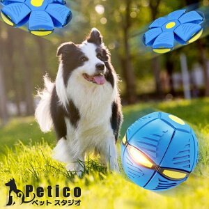 ό`UFO{[ ybgp{[ ptXr[ Lp łS XgX Lp V ό`{[ Op  ybg {[   ߋ _炩  