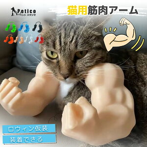 【レビュー特典 】 筋肉の腕 猫 コスプレ おもちゃ 面白い コスチューム アクセサリー ネコ ねこ 筋肉 腕 付ける 手 中指 吊り腕 小道具 撮影 パーティー ハロウィン クリスマス 誕生日 プレ