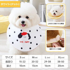 yr[T z ybgp 悾ꂩ  L o[Vu GUxXJ[ p rߖh~  pPA   D z ی 悾h~   Gh~ ܂ PA 