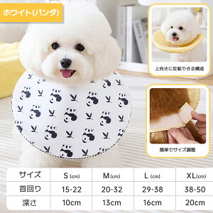 yr[T z ybgp 悾ꂩ  L o[Vu GUxXJ[ p rߖh~  pPA   D z ی 悾h~   Gh~ ܂ PA 