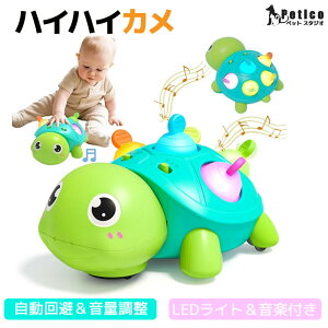 nCnC  nCnCJ 3in1 Ԃ  0 1 mߋ yCgt QZT[  15Ȃ̉y4ނ̔ J wg[jO Fo