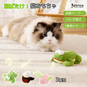 2_ڔzSALEr[T ӂӂ邨 L  A    V ɂԂ lV USB[d Type-C _炩  JG XY  L ₵ ΍ lR ˂ L
