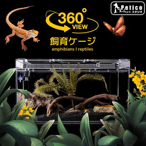 テラリウム 爬虫類 飼育 ケージ 両生類 カメ カニ テラリウム 脱走防止 フタ ガラス 透明度の高い 水槽 ガラス水槽 トカゲ ヤモリ レオパ ヘビ カメレオン 20cm 30cm 40cm 50cm スタッキング対応 省