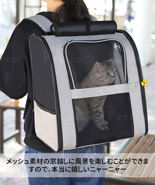 321円 ふるさと納税 ペット リュック 犬 猫 キャリー バッグ 軽量 防災 送料別 321円 ふるさと納税 ペット リュック 犬 猫 キャリー バッグ 軽量 防災 送料別