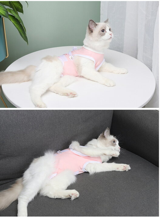 術後服 猫 猫用 ペット術後ウェア 介護服 術後着 術後 手術 皮膚保護 不妊手術 傷口保護 避妊 傷舐め 引っ掻き防止 手術用 男の子 女の子 男女兼用 ネコ 動物病院 抗菌 消臭 快適 乳腺腫瘍 キャットウェア 犬 猫の服 S M L 79 以上節約
