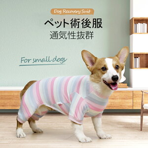 術後服 犬の人気商品 通販 価格比較 価格 Com