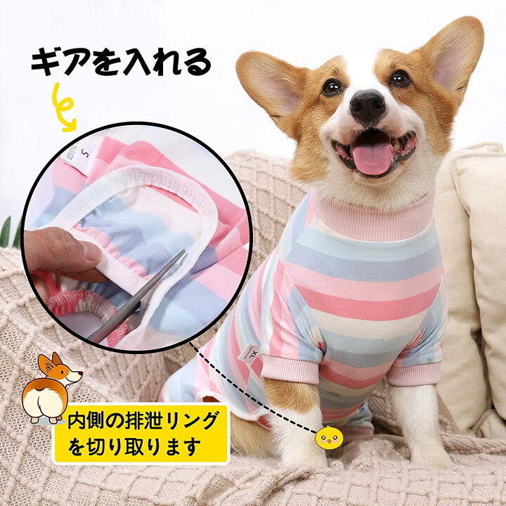楽天市場 犬 術後服 猫 術後ウェア 中 小型犬 避妊手術後 傷口保護 傷舐め 離乳 エリザベスカラーに代わる 抜け毛対策 部屋着 雄 雌兼用 通気 Petico 楽天市場 犬 術後服 猫 術後ウェア 中 小型犬 避妊手術後 傷口保護 傷舐め 離乳 エリザベスカラーに代わる 抜け毛対策 部屋着 雄 雌兼用 通気 Petico