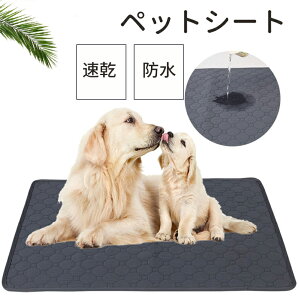 ybgp}bg ybg}bg gCV[g ~ }bgQ GR}bg ~ ^ ^ ?L p h  L  ۂƐ􂦂 JԂp\