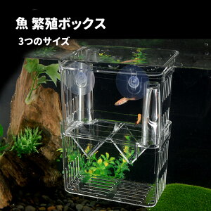 グッピー 水槽の人気商品 通販 価格比較 価格 Com グッピー 水槽の人気商品 通販 価格比較 価格 Com