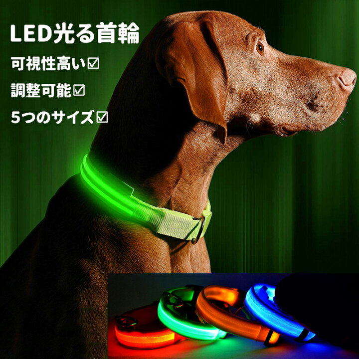 犬用 首輪 犬 おしゃれ 光る 充電式 LEDライト USB充電式 ペット 小型犬 中型犬 大型犬 散歩 夜 最も