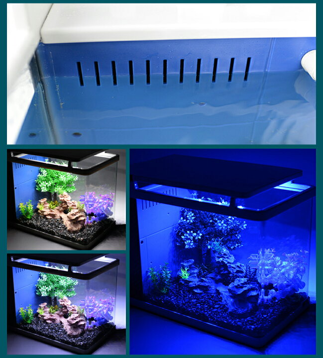 楽天市場 1年保証 アクアリウム 水槽セット 観賞魚飼育セット 19l 家庭用 アクアポニックス グラス タッチスクリーン Ledライト ３つ照明モード エアーポンプ フィルター 静音 省エネ 熱帯魚 水槽 インテリア 飼育箱 魚 観賞用 飼育セット 多機能 水草 植物育成 Petico