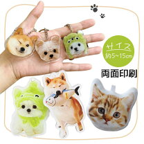 犬 オーダーメイドの通販