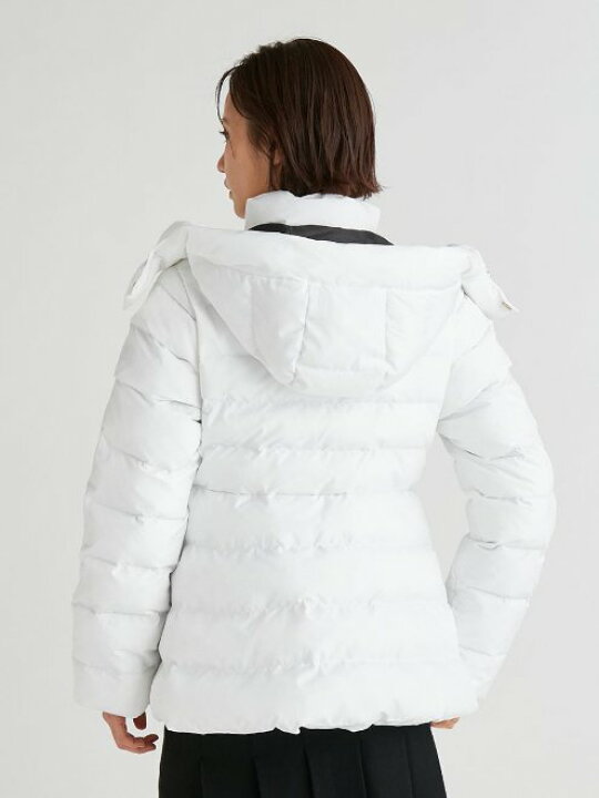 楽天市場】【即日出荷】ファイナルセール40%OFF! CELFORD セルフォード 