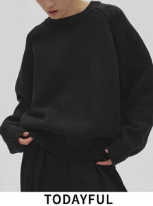 �y�\��z�y�Җ]�ǉ��z(PT5�{�`6/7) TODAYFUL �g�D�f�C�t�� Raglan Knit Pullover�� 26�H�~.�\�� 12520510 �j�b�g�g�b�v�X 2025 PRE FALL. �g�b�v�X �y�N�[�|�����p�s�z �g�c�十 ���O���� �j�b�g �v���I�[�o