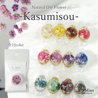 エスミント 【ドライフラワー】Kasumisou カスミソウ かすみそう　各12色 レジン におすすめ♪ パーツ 花…