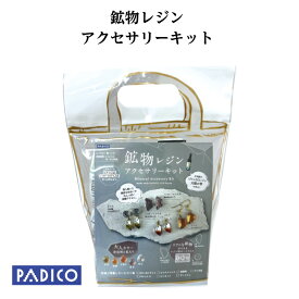 レジンセット キット 鉱物レジン アクセサリーキット 子供 大人 ギフト プレゼント パジコ 着色剤 くすみカラー 宝石の雫 レジン液 着色料 大人気 手芸 ハンドメイド 初心者 手作り ピアス イヤリング【送料無料】