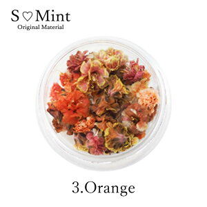 GX~g yhCt[zKasumisou JX~\E ݂@e12F W ɂ߁ p[c  ԍ | |ޗ  lC