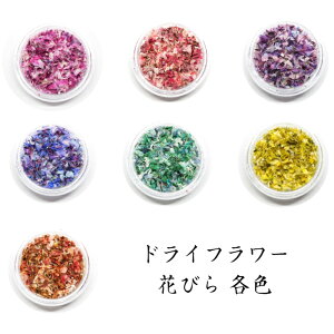 GX~g yhCt[zHanabira Ԃт S7F W ɂ߁y[ցE䂤pPbgz ԍ | |ޗ Wޗ p[c