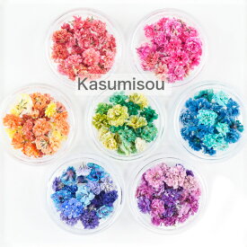 エスミント　Kasumisou　かすみそう　ドライフラワー　各7色　単品　レジン パーツ 花　封入