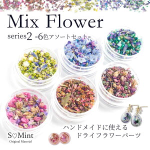 �G�X�~���g �y�h���C�t�����[�z���W�� �ɂ������߁� �~�b�N�X�t�����[ �V���[�Y2�@6�F�Z�b�g Mix Flower series2�@�y���[���ցE�䂤�p�P�b�g�z�@�� �ԍ� ���Y �l�C�� ��| ��|�p�i �ޗ�