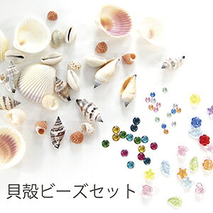 yPADICOzyAEgbgzy݌ɌzLkr[YZbg