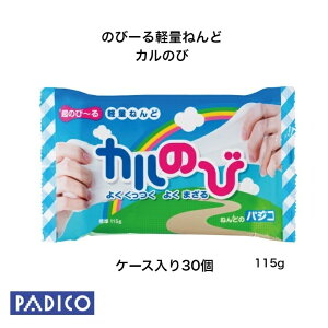 yP[X̔zypWRVbvzyyʔSyz }H Sy 邢 ˂ ̂с`yʔSy Ĵ 30 H 115g pWR fs04gm SyV q w ct Sy PF  zCg H 