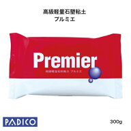 【パジコ公式ショップ】【PADICO】 図工 粘土 工作 プルミエ パジコ 【人形】【フィギュア】【ねんど】石…