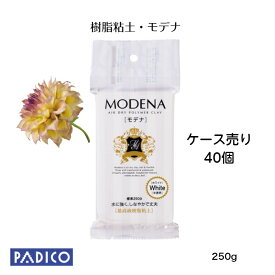 【パジコ公式ショップ】【送料無料】【あす楽】 図工 粘土 かるい 高級 ねんど 樹脂粘土 モデナ 250g 乾くと耐水性 工作 30%OFF 40個ケース売り Air dry clay