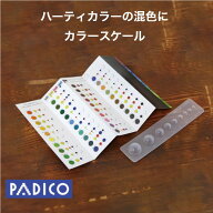 【パジコ公式ショップ】カラー粘土混色用ツール　カラースケール 　用具　ねんど　パジコ【ゆうパケット…