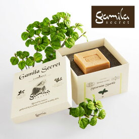 gamila secret ガミラシークレット スペアミントソープ スキンケアソープ ボディーソープ 石鹸 植物 美容成分 凝縮 合成界面活性剤 合成香料 着色料不使用 オリーブ果実油 シア脂油 ブドウ種子油 アーモンド油 ローズマリー ホホバ種子油 115g