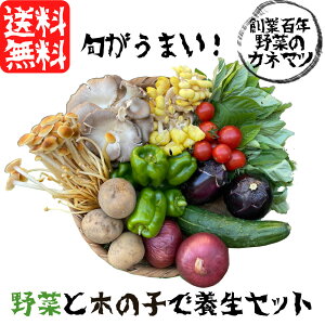 MB ̉ZbgM ~fBA _ w엿 ؕsgp 6-7i{̂MIX{̂1-2 ̂ ʕ Zbg lߍ킹 Y MB VN S S ܂ OZ[ ZNgZb