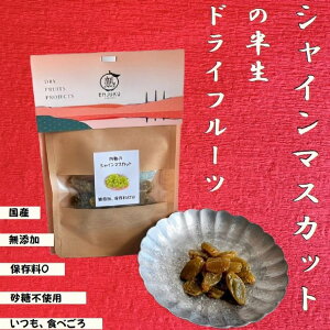 フルーつくる3 シャインマスカット 40g 半生ドライフルーツ 国産 長崎県産 添加物不使用 保料不使用 砂糖不使用 濃縮 甘み