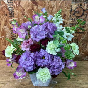 yIׂ7FzԃAWg L TCY kkotkkot flower a   Mtg j JXj  蕨 v[g {bNXt[ t[{bNX t[AWg 