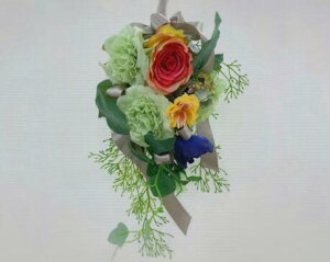 yIׂ7FzA[eBtBVXbO kkotkkot flower  Ǌ|  CeA 邾 ؂₮ i lC a   Mtg j JXj  蕨 v[g {