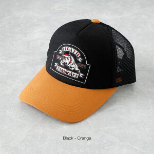 bVLbv Y 傫TCY [ Xq 싅X fB[X jZbNX by hJ 悯Xq O΍ MǑ΍ Ă΍ ̓ AJW JWA  