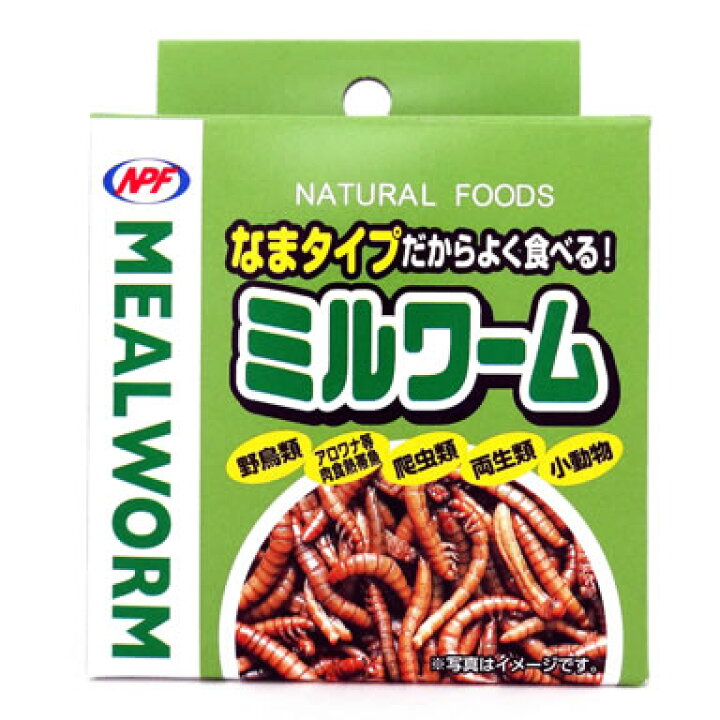 楽天市場 なまタイプだからよく食べる ミルワーム 缶詰 ハリネズミ モモンガ リス サル 爬虫類 トカゲ Npf 小動物専門店ヘヴン