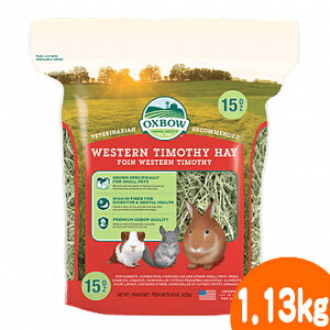 �E�G�X�^���`���V�[1.13kg
