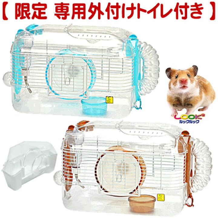 600ハムスターhigh ゴールデンハムスター飼育セット B 600ハムスターhigh ゴールデンハムスター飼育セット B