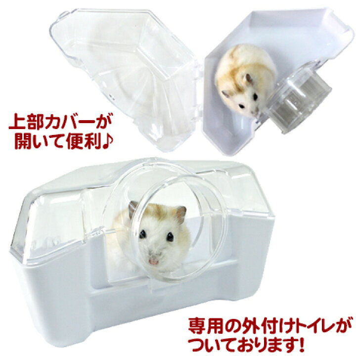 楽天市場】【専用外付けトイレ付き】ルックルック ハムスター : 小動物 