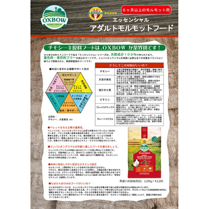 売れ筋がひクリスマスプレゼント! OXBOW エッセンシャル ヤングモルモットフード 2.25Kg 送料無料 discoversvg.com 売れ筋がひクリスマスプレゼント! OXBOW エッセンシャル ヤングモルモットフード 2.25Kg 送料無料 discoversvg.com